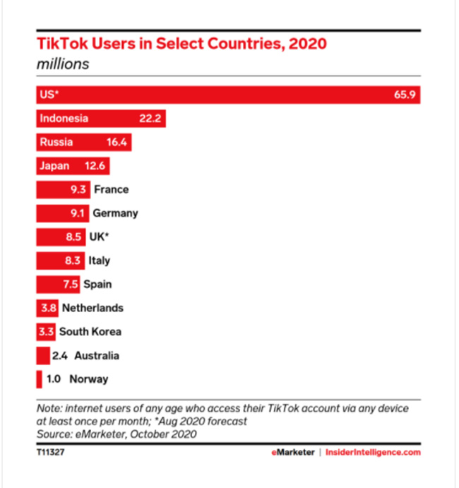 TikTok Users Around the World 2020